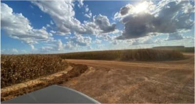 Foto 2 de 8: Area Rural em leilão em Vilhena - RO — IMÓVEL RURAL | A.T. 74,0462 HA | VILHENA/RO - LEILÃO EMPRESARIAL SISTÊMICO SICREDI