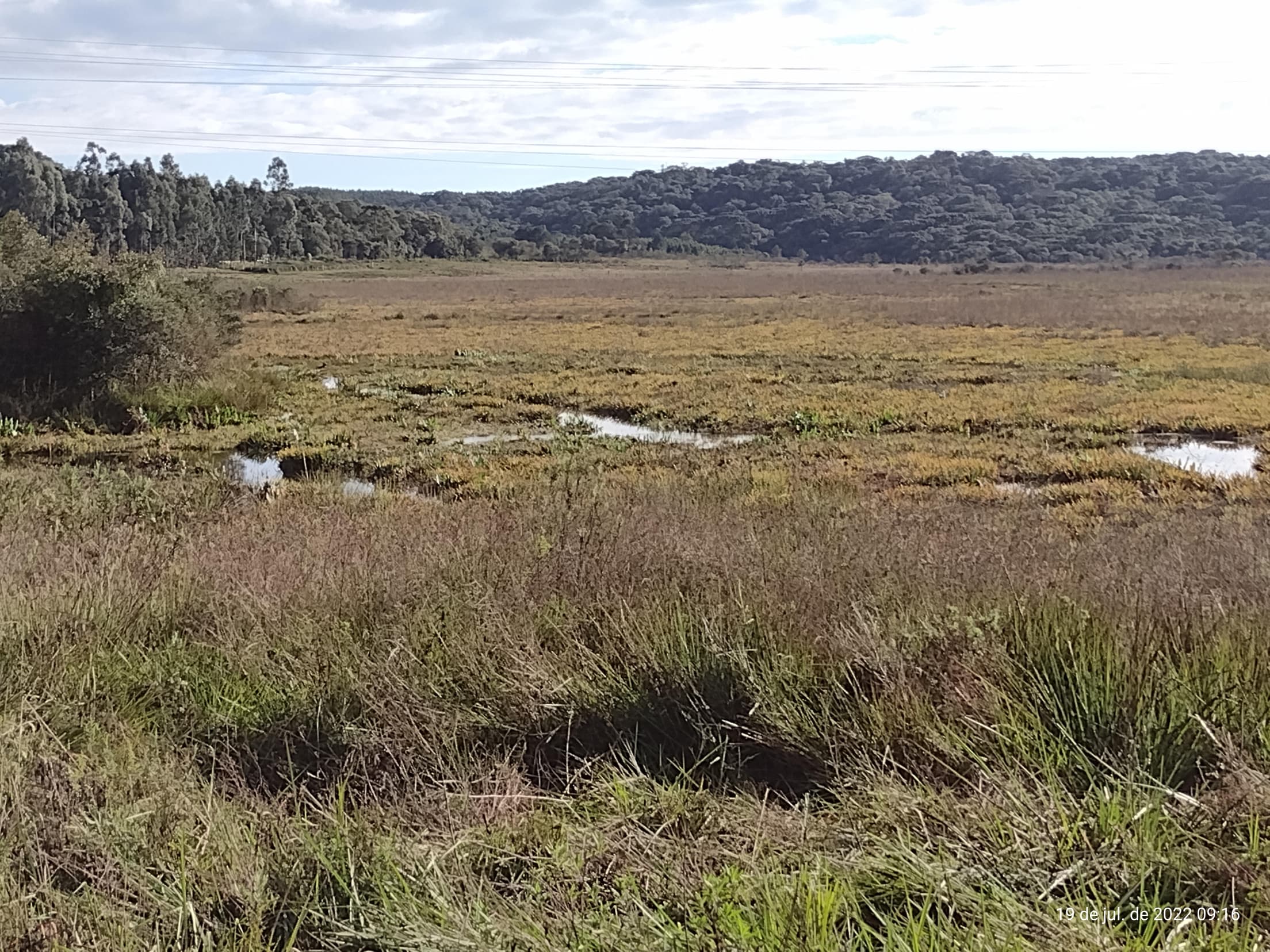 Foto 23 de 50: Terreno em leilão em Irati - PR — Terreno rural com área de 74.282,70m², Irati/PR