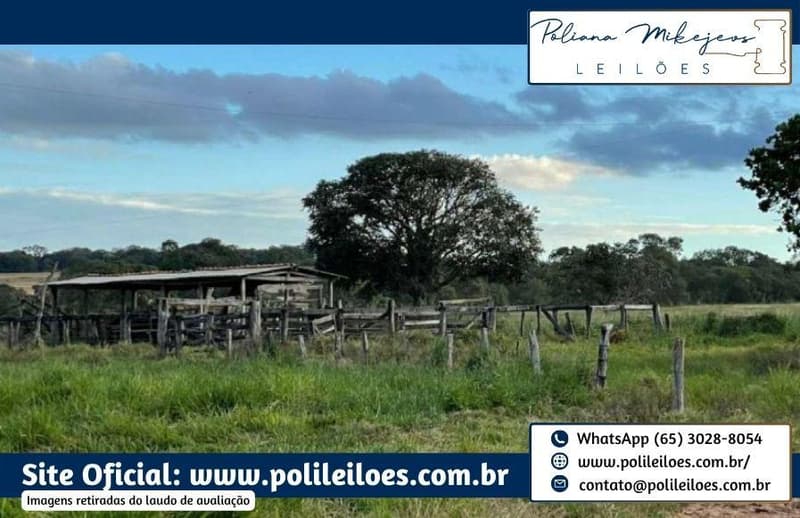Foto 1 de 9: Area Rural em leilão em Rio Verde De Mato Grosso - MS — Gleba de terras, 146ha, 8.635m², remembramento dos lotes "Abora, "Abobora" e "São Domingos", em Rio Verde/MS