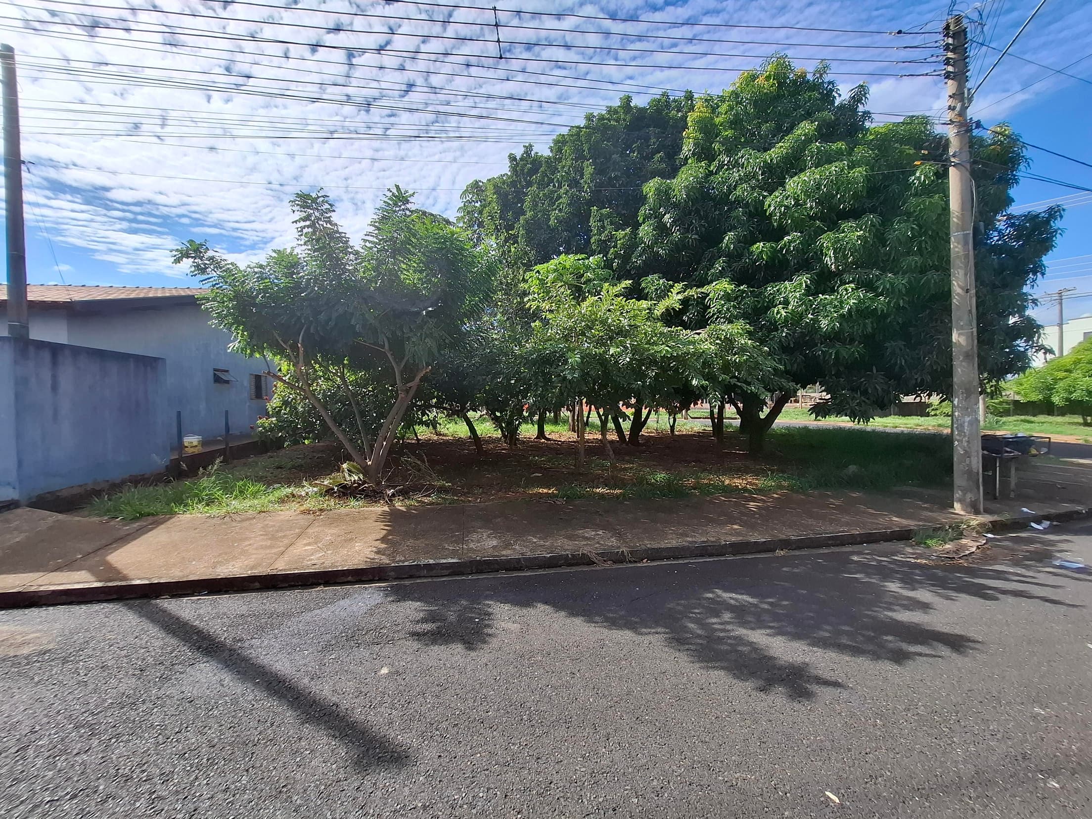 Foto 4 de 8: Terreno em leilão em Mirassol - SP — TERRENO COM ÁREA DE 476m² NA RUA ANTÔNIO PEREIRA DIAS, JARDIM ALVORADA - MIRASSOL/SP | MATRICULA 27.230