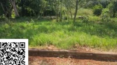 Foto 3 de 4: Terreno em leilão em Erval Seco - RS — IMÓVEL URBANO COM ÁREA TOTAL DE 426M² - SEBERI/RS