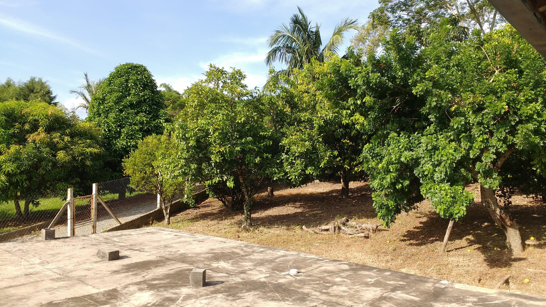 Foto 7 de 11: Casa em leilão em Araçoiaba Da Serra - SP — Chácara c/ 20.000m², Desocupada, com Sistema de Piscicultura e Ranicultura no Bairro Do Jundiacanga, Araçoiaba da Serra/SP