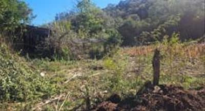 Foto 9 de 10: Imóvel em leilão em Erval Seco - RS — IMÓVEL URBANO COM ÁREA TOTAL DE 2.500,00 m² - SEBERI/RS