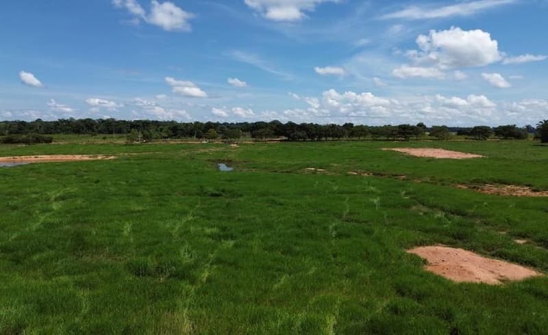 Foto 6 de 8: Area Rural em leilão em Ariquemes - RO — IMÓVEL RURAL, 48,1028ha - POSSUI 2 COCHEIRAS E 5 KM DE CERCA - POTENCIAL DE PECUÁRIA DE CORTE OU AGRICULTURA EM ALTO PARAÍSO/RO