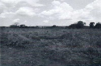 Foto 3 de 4: Area Rural em leilão em Monte Santo Do Tocantins - TO — Fazenda, A.T. 960,7807 ha