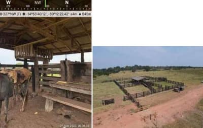 Foto 5 de 7: Area Rural em leilão em Pontes E Lacerda - MT — Imóvel Rural, 290,400 hectares