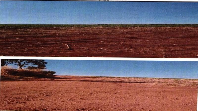 Foto 5 de 6: Area Rural em leilão em Mineiros - GO — IMÓVEL RURAL | A.T. 80,0453 HA | FAZENDA RIO VERDE LD NOVO HORIZONTE | MINEIROS/GO