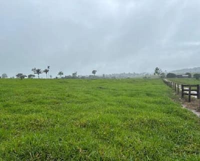 Foto 5 de 7: Area Rural em leilão em Nova Monte Verde - MT — IMÓVEL RURAL | A.T. 52,2136HA - SÍTIO SÃO ROQUE | NOVA MONTE VERDE/MT