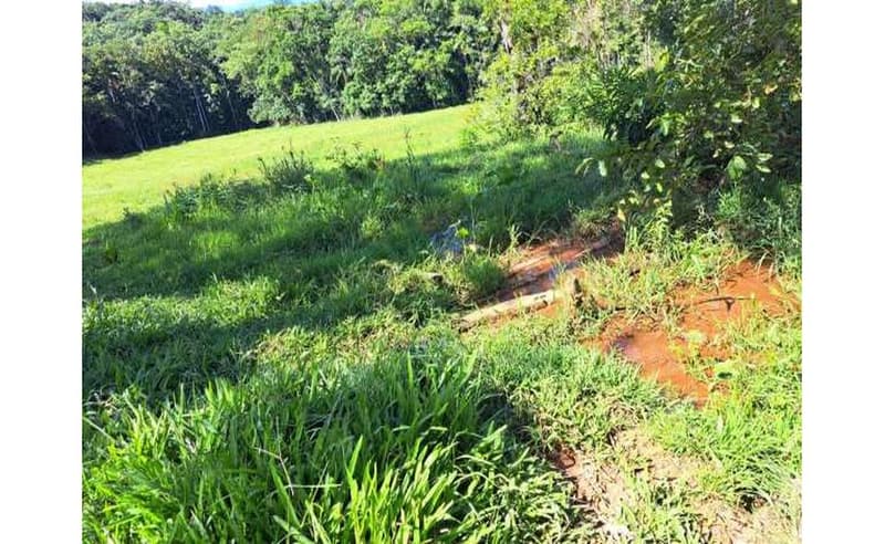 Foto 11 de 64: Terreno em leilão em Blumenau - SC — Um imóvel com área total de 102.114,74m² em Blumenau/SC