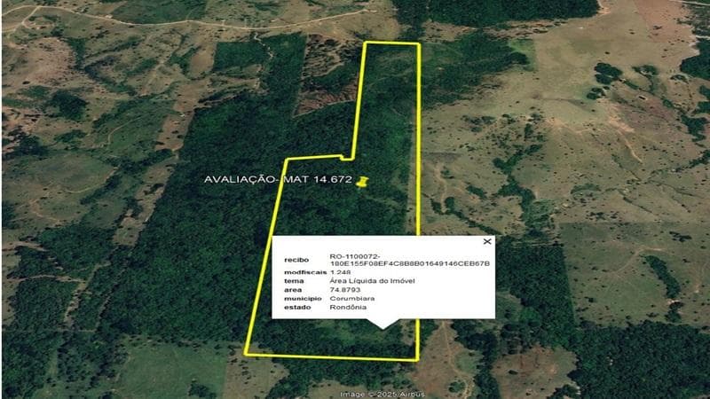 Foto 2 de 6: Area Rural em leilão em Corumbiara - RO — IMÓVEL RURAL | 74,8894 HA, IDEAL PARA PECUÁRIA | CORUMBIARA/RO