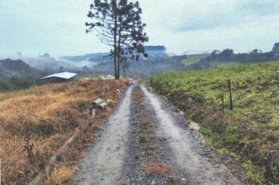 Foto 4 de 10: Area Rural em leilão em Imbuia - SC, bairro Interior — IMÓVEL RURAL COM ÁREA SUPERFICIAL DE 132.280,00M2 EM IMBUIA-SC
