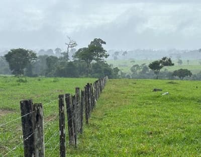 Foto 3 de 7: Area Rural em leilão em Nova Monte Verde - MT — IMÓVEL RURAL | A.T. 52,2136HA - SÍTIO SÃO ROQUE | NOVA MONTE VERDE/MT