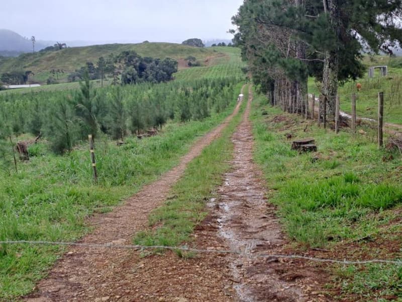 Foto 4 de 25: Area Rural em leilão em Correia Pinto - SC — IMÓVEL RURAL COM ÁREA TOTAL DE 121.000M² - CORREIA PINTO/SC