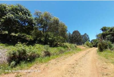 Foto 15 de 16: Area Rural em leilão em Pinhão - PR — Imóvel rural, 242.766,02 m², denominado Torres, Município e Comarca de Pinhão-PR