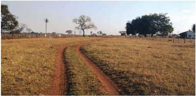 Foto 7 de 7: Area Rural em leilão em Camapuã - MS — FAZENDA ÁGUA BOA, 888 HA, CASA SEDE, CURRAL, GALPÃO, EXCELENTE HIDROGRAFIA EM CAMAPUÃ/MS