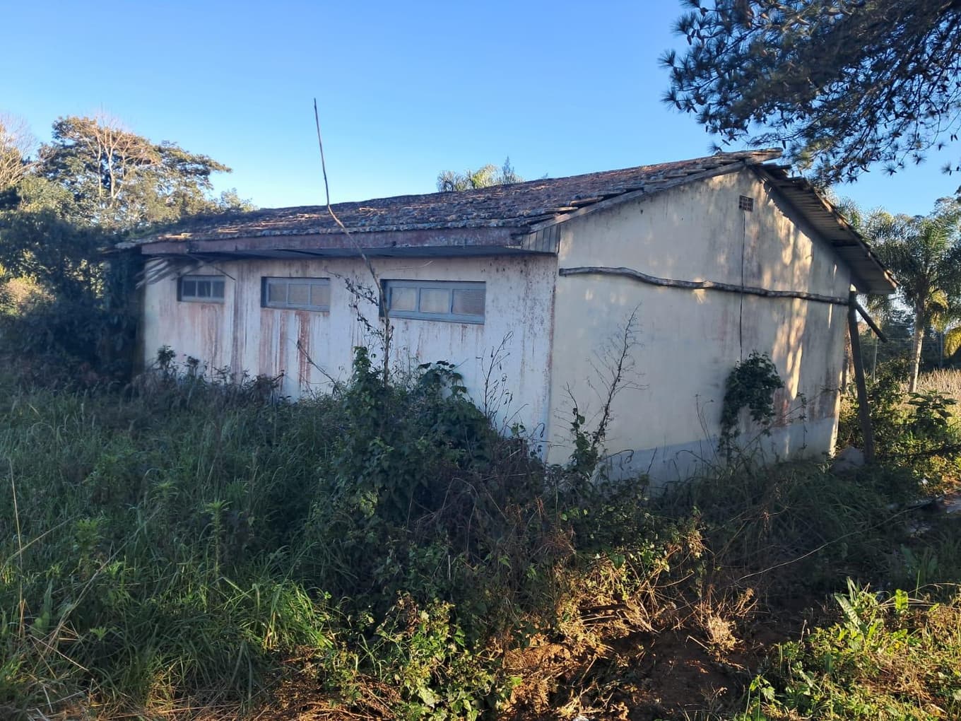 Foto 4 de 9: Terreno em leilão em Imbuia - SC — TERRENO RURAL COM ÁREA DE 974,40M² LOCALIZADO EM IMBUIA/SC