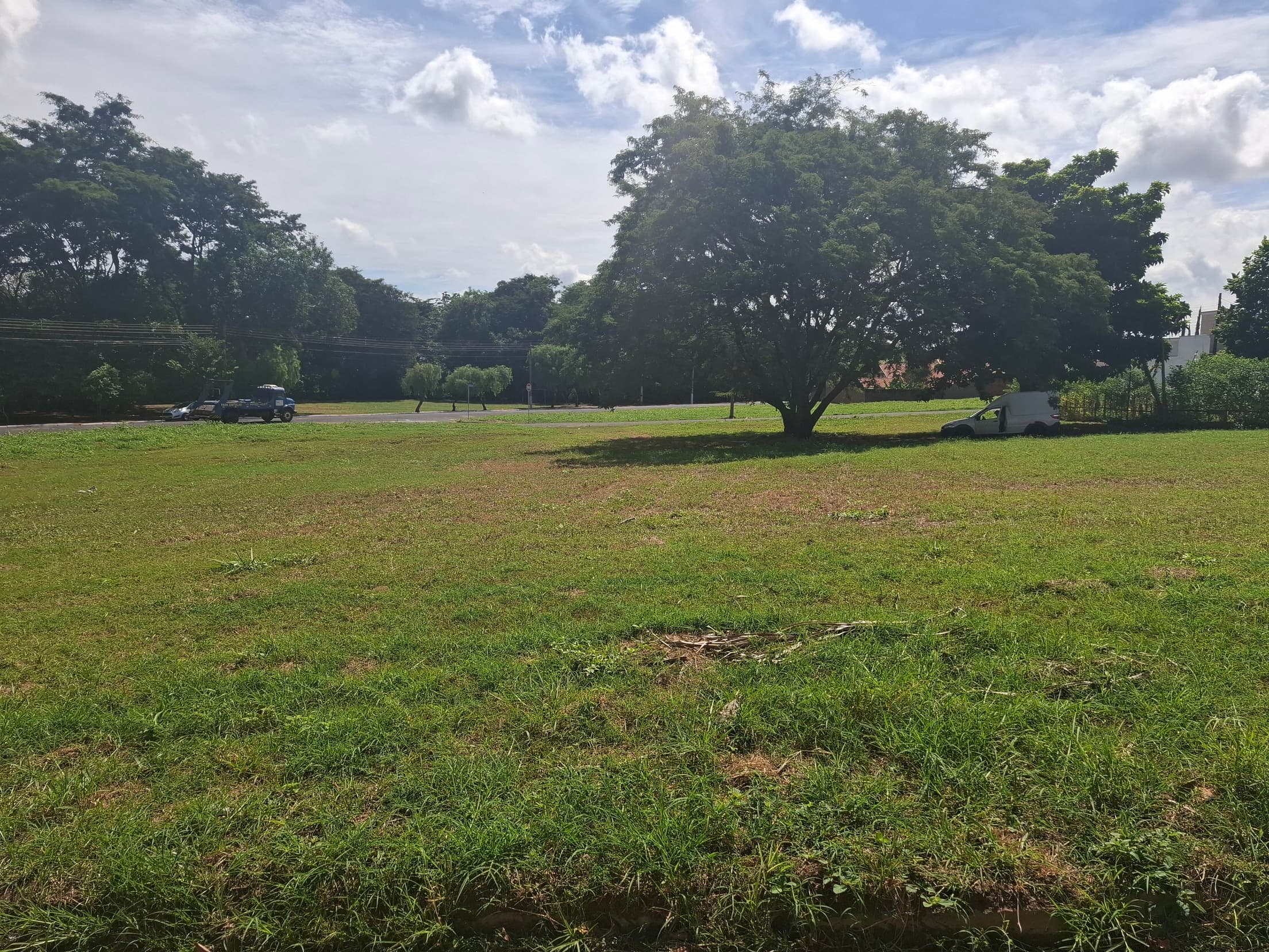 Foto 3 de 6: Terreno em leilão em Mirassol - SP — TERRENO LOCALIZADO NA RUA BRAZ LOPES COM ÁREA DE 306m², RESIDENCIAL CELINA DALUL, | MIRASSOLSP Nº 26.013