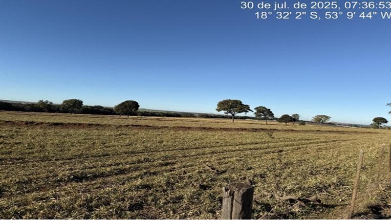 Foto 6 de 6: Area Rural em leilão em Costa Rica - MS — IMÓVEL RURAL | A.T. 9,8309 HA FAZENDA FLOR DA MATA | COSTA RICA/MS