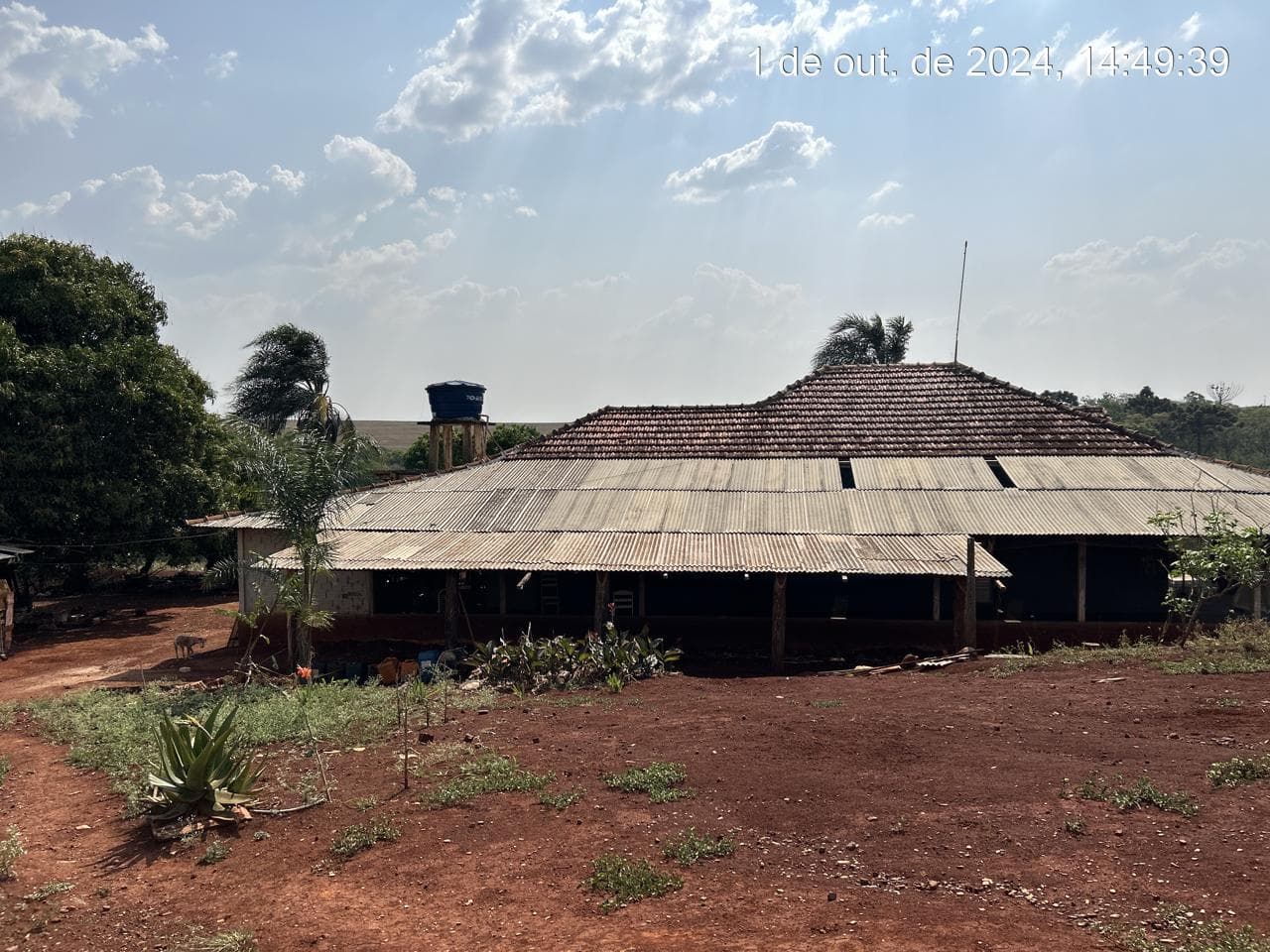 Foto 16 de 21: Area Rural em leilão em Arapongas - PR — Fração ideal de 6,255% do Lote rural, coma área 28100,83m², Arapongas/PR