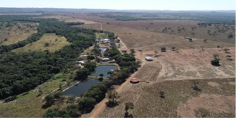 Foto 10 de 11: Area Rural em leilão em Poxoréu - MT — IMÓVEL RURAL | 54,00 HA PECUÁRIA | ESTÂNCIA 2 IRMÃOS, POXORÉU/MT