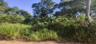 Terreno em leilão em Cotia - SP, bairro Projeto Jardim — Terreno Urbano Com A.T. 1.349,27 M² em Cotia/SP