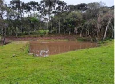 Foto 24 de 24: Area Rural em leilão em Correia Pinto - SC — IMÓVEL RURAL COM ÁREA TOTAL DE 122.223m² - CORREIA PINTO/SC