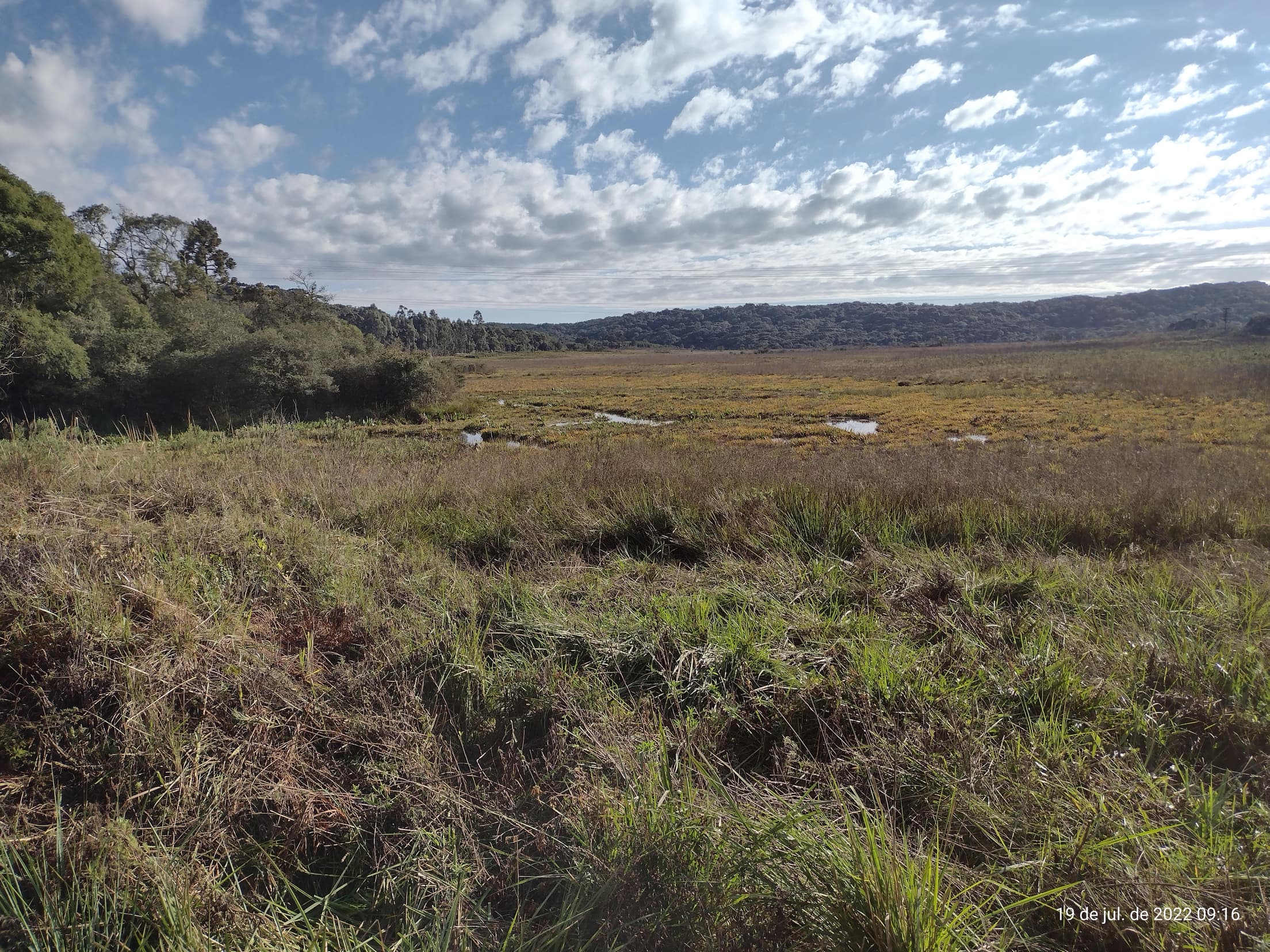 Foto 17 de 50: Terreno em leilão em Irati - PR — Terreno rural com área de 74.282,70m², Irati/PR