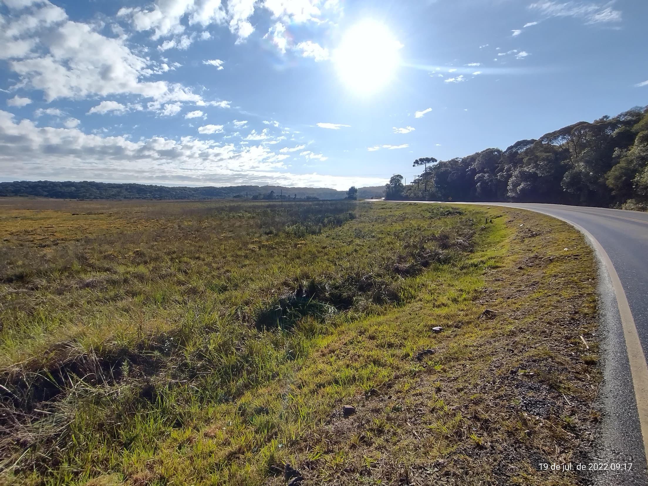 Foto 20 de 50: Terreno em leilão em Irati - PR — Terreno rural com área de 74.282,70m², Irati/PR