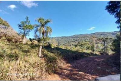 Foto 5 de 14: Area Rural em leilão em Pinhão - PR — Parte ideal de 484,72 hectares,, correspondente a 85,039% da Área rural Medindo 5.700.000,00m2, Localizada no quinhão 1-J, no imóvel Pinhão-Faxinal dos Ribeiros, situado no município e comarca de Pinhão/PR