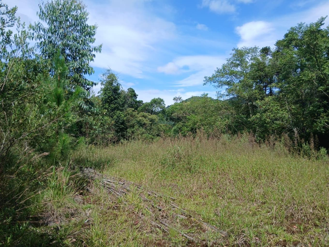Foto 6 de 11: Area Rural em leilão em Anitápolis - SC, bairro Vila Nas Montanhas — IMÓVEL RURAL COM ÁREA TOTAL DE 20.000,00 M2 EM ANITÁPOLIS-SC