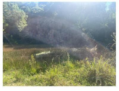 Foto 4 de 7: Terreno em leilão em Mafra - SC — Terreno rural sem benfeitorias