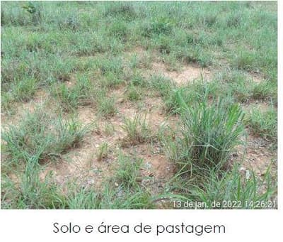 Foto 2 de 10: Area Rural em leilão em Formoso Do Araguaia - TO — IMÓVEL RURAL, 57,34HA - PROJETO RIO FORMOSO, 3ª ETAPA EM FORMOSO DO ARAGUAIA/TO - COM CASA SEDE