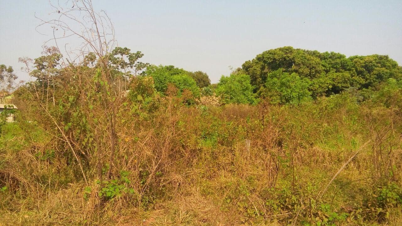 Foto 16 de 18: Terreno em leilão em Cáceres - MT — Terreno com 9.987m², Desocupado no Panorama em Cáceres/MT