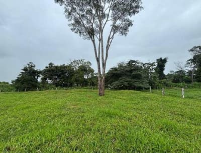 Foto 4 de 7: Area Rural em leilão em Nova Monte Verde - MT — IMÓVEL RURAL | A.T. 52,2136HA - SÍTIO SÃO ROQUE | NOVA MONTE VERDE/MT