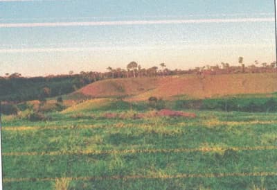Area Rural em leilão em Santa Luzia D'oeste - RO — IMÓVEL RURAL | A.T 26,44 HA | ALTO ALEGRE DOS PARECIS, COMARCA DE SANTA LUZIA D'OESTE/RO