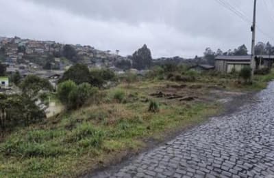 Foto 3 de 10: Terreno em leilão em Santa Cecília - SC — (Parte ideal) Terreno, A.T. 8.636,00m², diferencial, Bairro Fazenda Ouveiro