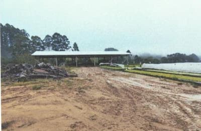 Foto 7 de 10: Area Rural em leilão em Imbuia - SC, bairro Interior — IMÓVEL RURAL COM ÁREA SUPERFICIAL DE 132.280,00M2 EM IMBUIA-SC