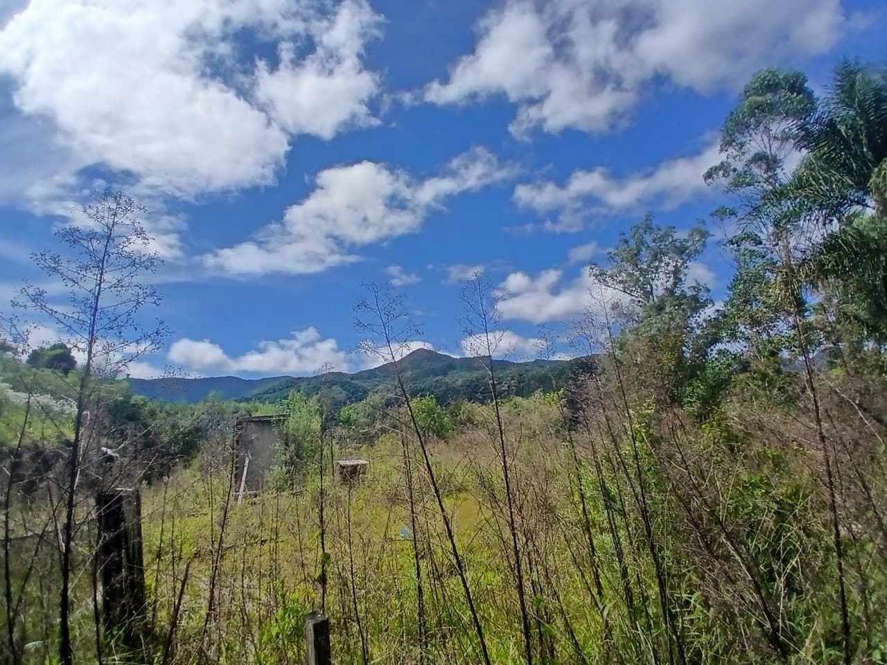 Foto 18 de 18: Area Rural em leilão em Anitápolis - SC — IMÓVEL RURAL COM ÁREA TOTAL DE 30.704,71m². EM ANITÁPOLIS-SC