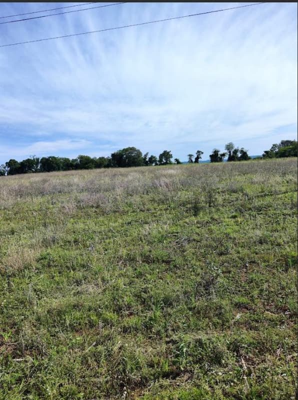 Foto 9 de 12: Area Rural em leilão em Santo Cristo - RS — IMÓVEL RURAL COM ÁREA TOTAL DE 20.250m² - SANTO CRISTO/RS