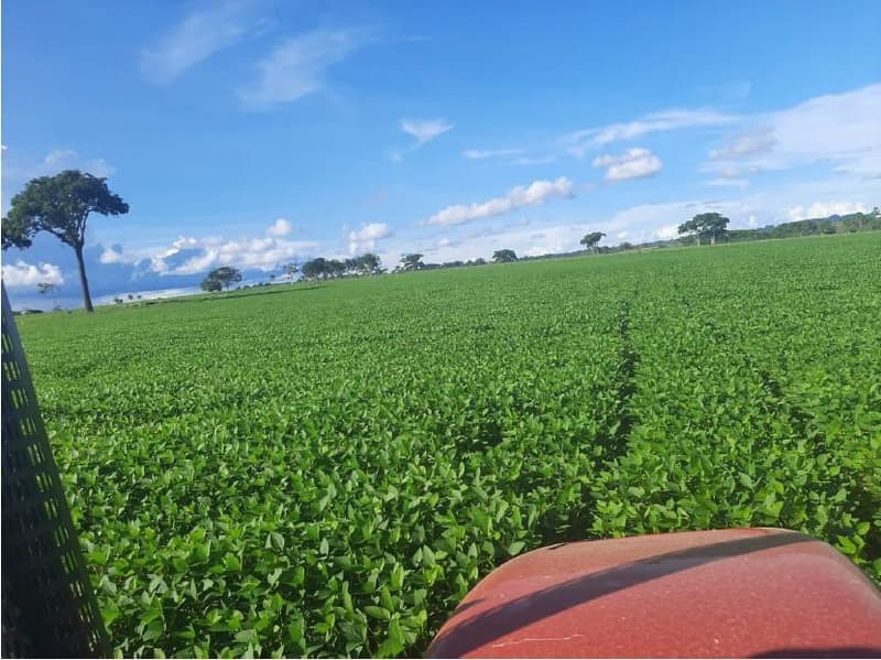 Foto 1 de 5: Area Rural em leilão em Nova Bandeirantes - MT — IMÓVEL RURAL | 31,5324 HA - ESTÂNCIA SOL NASCENTE | NOVA BANDEIRANTES/MT