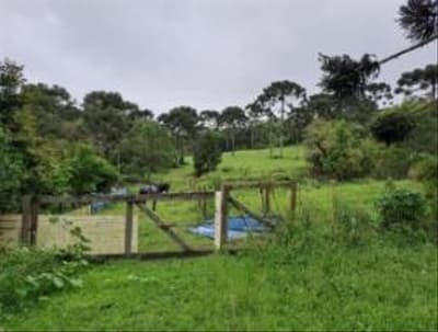 Foto 12 de 24: Area Rural em leilão em Correia Pinto - SC — IMÓVEL RURAL COM ÁREA TOTAL DE 122.223m² - CORREIA PINTO/SC