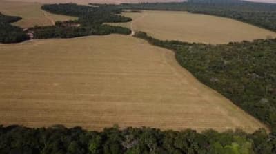 Foto 4 de 8: Area Rural em leilão em Vilhena - RO — IMÓVEL RURAL | A.T. 74,0462 HA | VILHENA/RO - LEILÃO EMPRESARIAL SISTÊMICO SICREDI