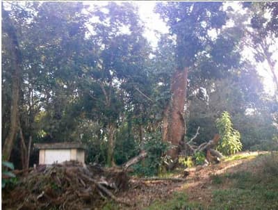 Foto 9 de 9: Terreno em leilão em Embu Das Artes - SP, bairro Chácaras Uirapuru — TERRENO LOTE 19 QUADRA 2 COM AREA 1.372,00m² - CHACARA UIRAPURU