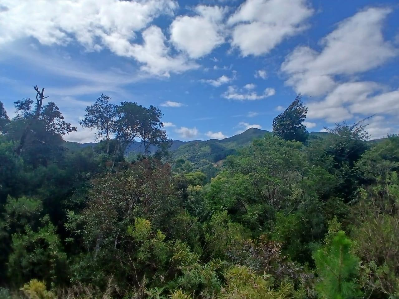Foto 10 de 18: Area Rural em leilão em Anitápolis - SC — IMÓVEL RURAL COM ÁREA TOTAL DE 30.704,71m². EM ANITÁPOLIS-SC