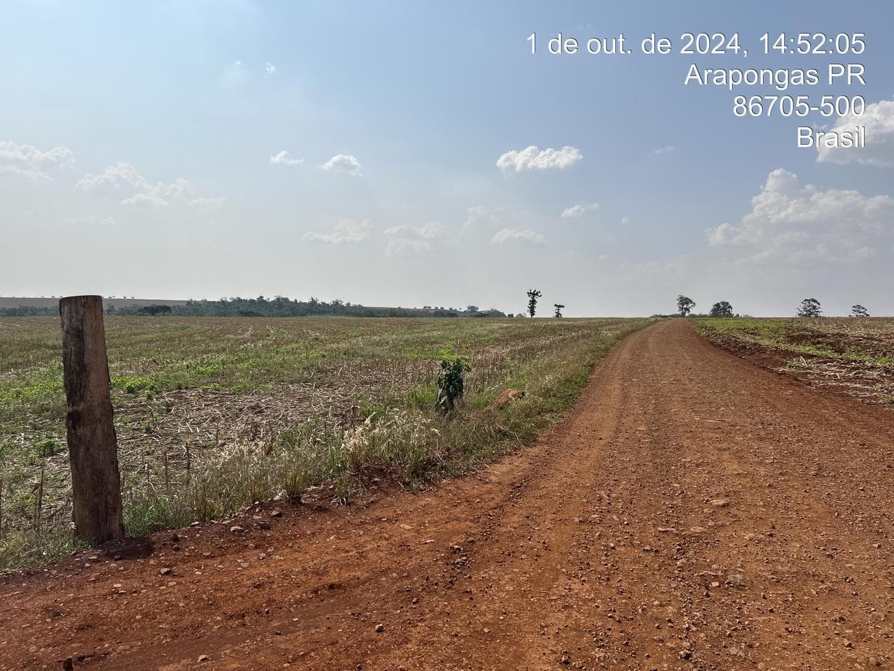 Foto 11 de 21: Area Rural em leilão em Arapongas - PR — Fração ideal de 6,255% do Lote rural, coma área 28100,83m², Arapongas/PR