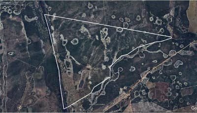 Area Rural em leilão em Alvorada Do Norte - GO — IMÓVEL RURAL | A.T. 773.43,17 HÁ FAZENDA RANCHARIA | ALVORADA DO NORTE/GO - LEILÃO EMPRESARIAL SISTÊMICO SICREDI