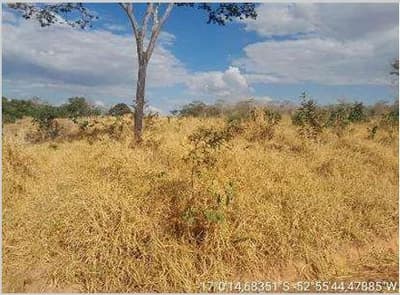 Foto 4 de 21: Area Rural em leilão em Mineiros - GO — IMÓVEL RURAL | A.T. 190,9953 HA | A.C 675 M² | FAZENDA SALTO| MINEIROS/GO