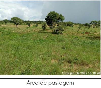 Foto 9 de 10: Area Rural em leilão em Formoso Do Araguaia - TO — IMÓVEL RURAL, 57,34HA - PROJETO RIO FORMOSO, 3ª ETAPA EM FORMOSO DO ARAGUAIA/TO - COM CASA SEDE