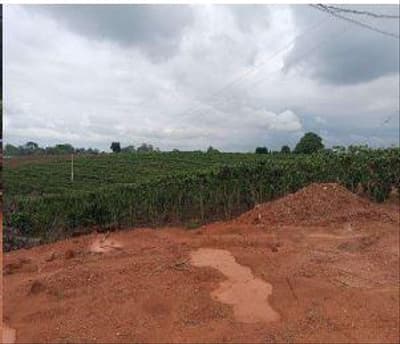 Foto 4 de 6: Area Rural em leilão em Alto Alegre Dos Parecis - RO — IMÓVEL RURAL | A.T. 8,72 HA CHÁCARA PEREIRA | SETOR PARECIS EM ALTO ALEGRE DOS PARECIS, COMARCA DE SANTA LUZIA D'OESTE/RO