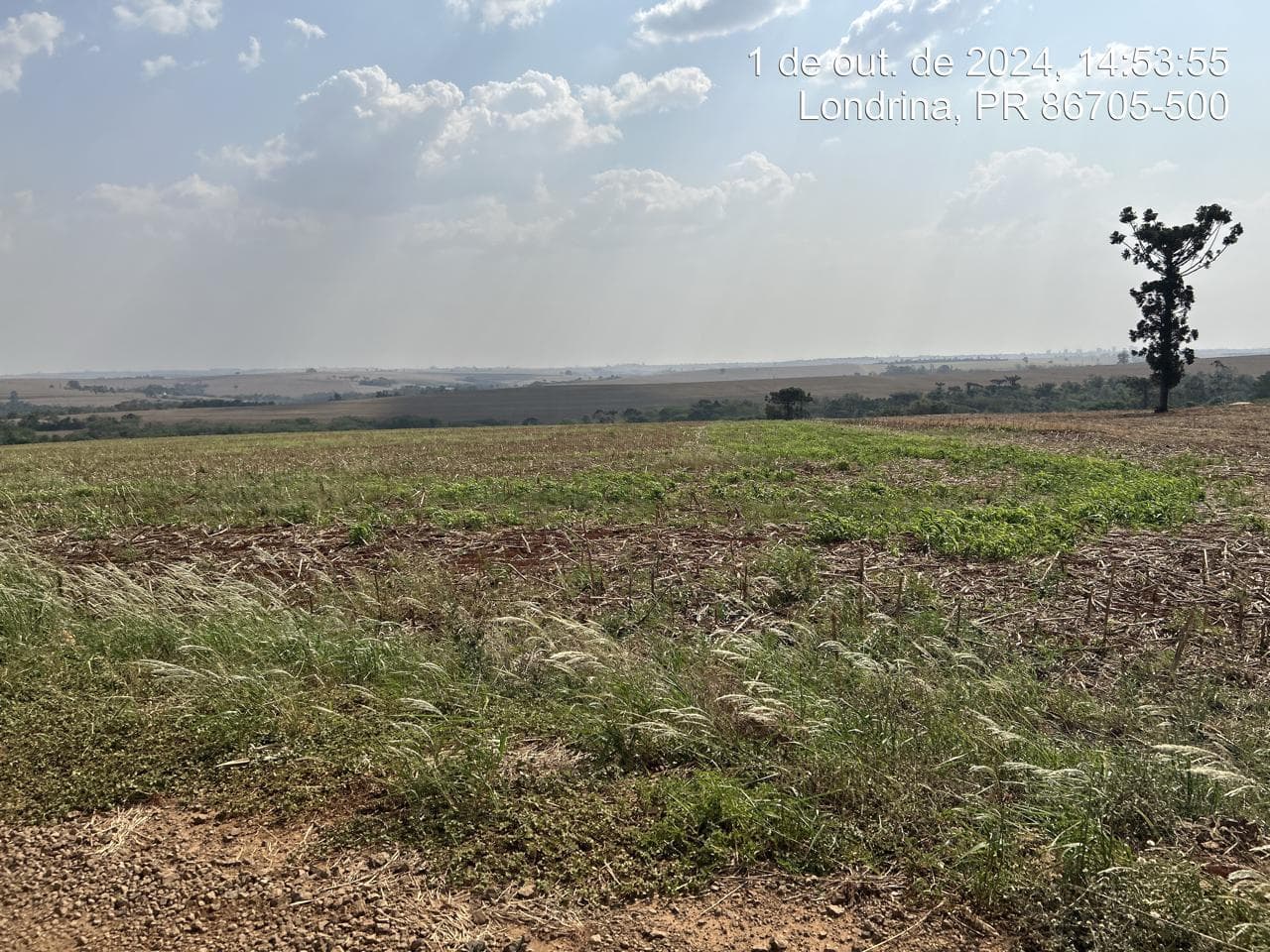 Area Rural em leilão em Arapongas - PR — Fração ideal de 6,255% do Lote rural, coma área 28100,83m², Arapongas/PR
